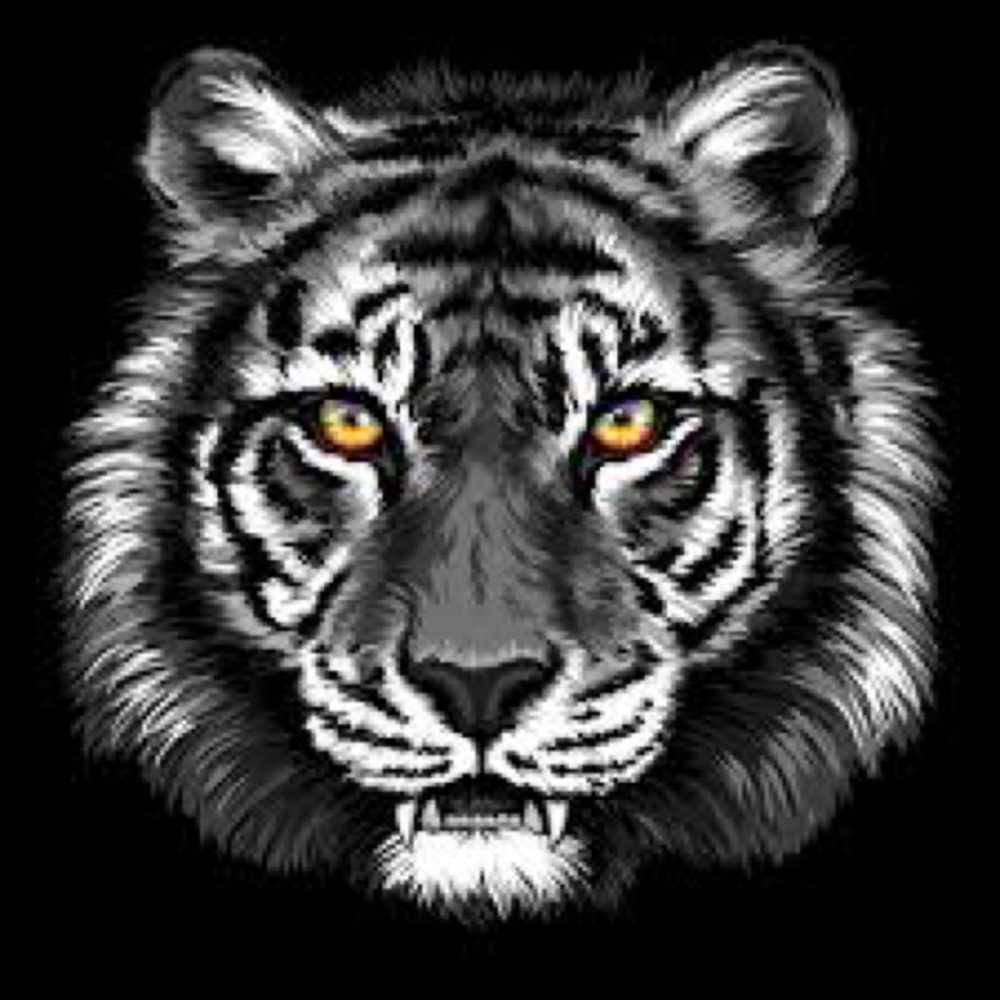 Meet your Posher, Sadie